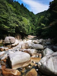 タオアドベンチャーに投稿された画像（2025/8/28）