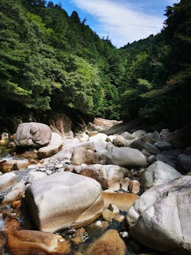 タオアドベンチャーに投稿された画像（2025/8/28）