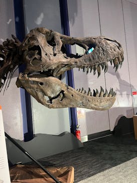 巨大恐竜展2025に投稿された画像（2025/8/28）