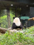 恩賜上野動物園に投稿された画像（2025/8/28）