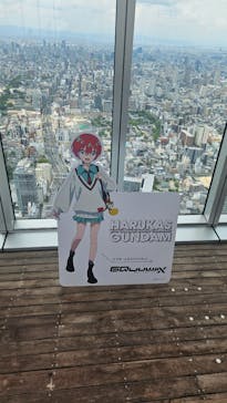 ハルカス300(展望台)に投稿された画像（2025/8/28）