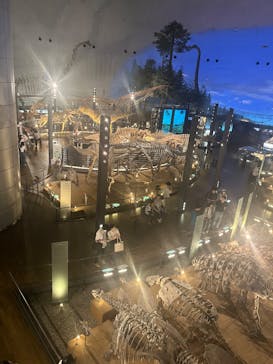 福井県立恐竜博物館に投稿された画像（2025/8/28）