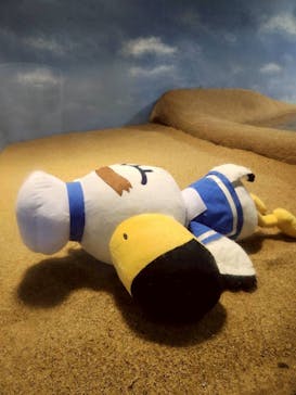 マリンワールド海の中道に投稿された画像（2025/8/28）