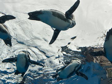 サンシャイン水族館に投稿された画像（2025/8/28）