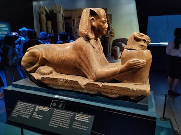 ACN ラムセス大王展 ファラオたちの黄金に投稿された画像（2025/8/28）