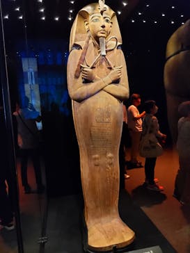 ACN ラムセス大王展 ファラオたちの黄金に投稿された画像（2025/8/28）