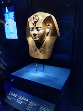 ACN ラムセス大王展 ファラオたちの黄金に投稿された画像（2025/8/28）