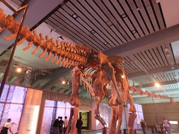 巨大恐竜展2025に投稿された画像（2025/8/28）