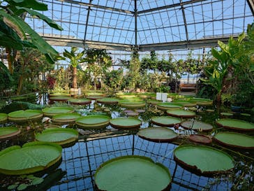 熱川バナナワニ園に投稿された画像（2025/8/28）