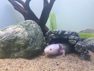 サンシャイン水族館に投稿された画像（2025/8/28）