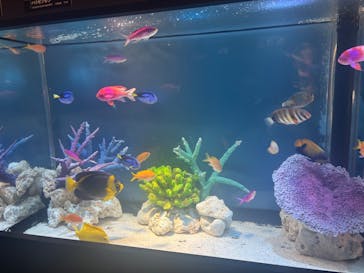 サンシャイン水族館に投稿された画像（2025/8/28）