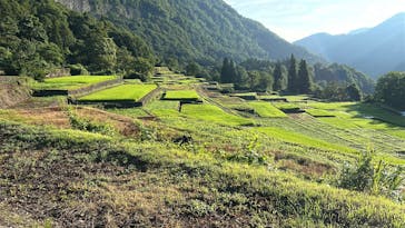 大地の芸術祭 実行委員会に投稿された画像（2025/8/28）