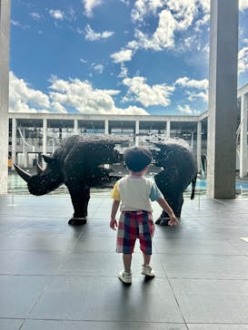 大地の芸術祭 実行委員会に投稿された画像（2025/8/28）