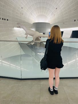 福井県立恐竜博物館に投稿された画像（2025/8/28）