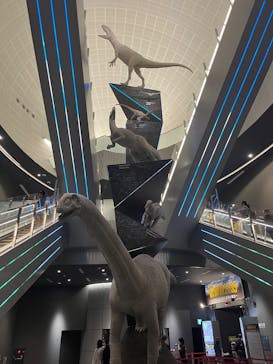福井県立恐竜博物館に投稿された画像（2025/8/28）