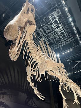 福井県立恐竜博物館に投稿された画像（2025/8/28）