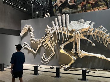 福井県立恐竜博物館に投稿された画像（2025/8/28）