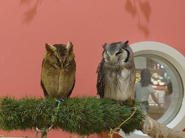 アニタッチららぽーと名古屋みなとアクルスに投稿された画像（2025/8/28）