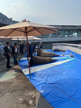 大分マリーンパレス水族館 「うみたまご」に投稿された画像（2025/8/28）