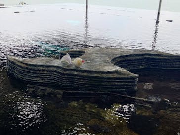 上越市立水族博物館 うみがたりに投稿された画像（2025/8/28）