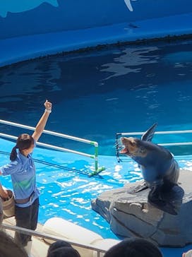 仙台うみの杜水族館に投稿された画像（2025/8/28）