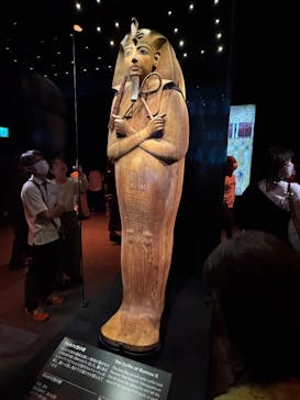ACN ラムセス大王展 ファラオたちの黄金に投稿された画像（2025/8/28）