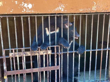 奥飛騨クマ牧場に投稿された画像（2025/8/28）