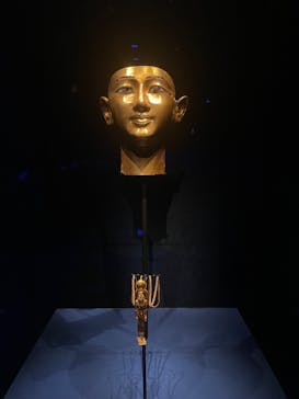 ACN ラムセス大王展 ファラオたちの黄金に投稿された画像（2025/8/28）