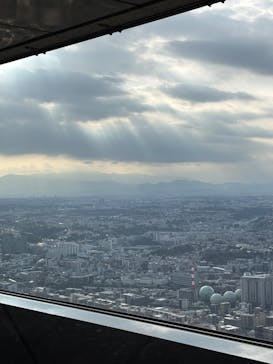 横浜ランドマークタワー 69階展望フロア スカイガーデンに投稿された画像（2025/8/28）