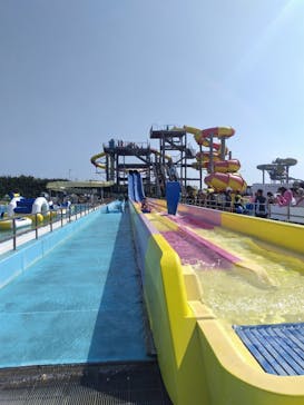 蓮沼ウォーターガーデンに投稿された画像（2025/8/28）