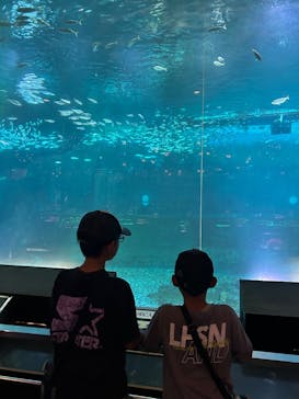 南知多ビーチランド＆南知多おもちゃ王国に投稿された画像（2025/8/28）