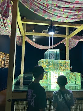 南知多ビーチランド＆南知多おもちゃ王国に投稿された画像（2025/8/28）