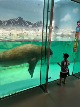 南知多ビーチランド＆南知多おもちゃ王国に投稿された画像（2025/8/28）