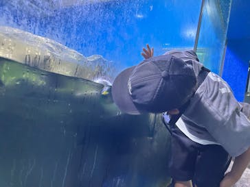 南知多ビーチランド＆南知多おもちゃ王国に投稿された画像（2025/8/28）