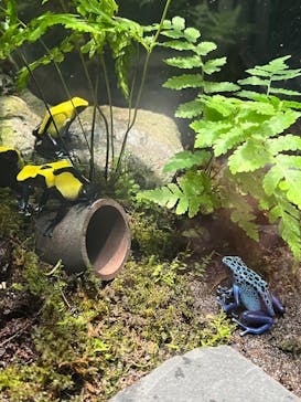 サンシャイン水族館に投稿された画像（2025/8/28）