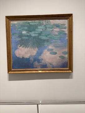 モネ 睡蓮のとき（豊田会場）に投稿された画像（2025/8/28）