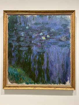 モネ 睡蓮のとき（豊田会場）に投稿された画像（2025/8/28）
