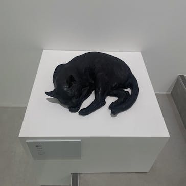 彫刻の森美術館に投稿された画像（2025/8/28）