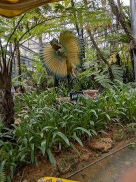 ナゴパイナップルパークに投稿された画像（2025/8/28）