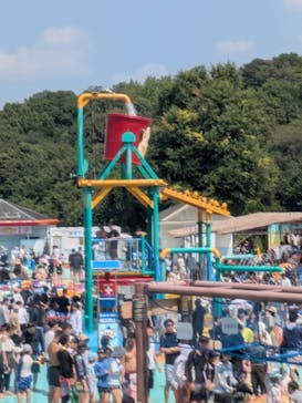 日本モンキーパークに投稿された画像（2025/8/28）