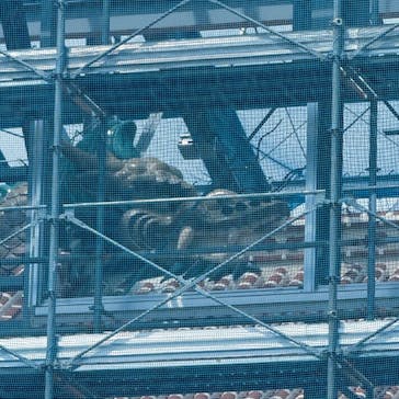 首里城公園 有料区域に投稿された画像（2025/8/28）