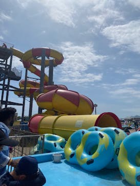 蓮沼ウォーターガーデンに投稿された画像（2025/8/28）