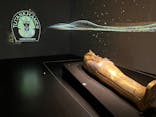 MYSTERY OF TUTANKHAMEN 体感型古代エジプト展に投稿された画像（2025/8/28）