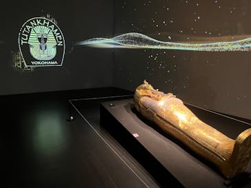 MYSTERY OF TUTANKHAMEN 体感型古代エジプト展に投稿された画像（2025/8/28）