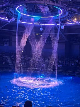 マクセル アクアパーク品川に投稿された画像（2025/8/28）