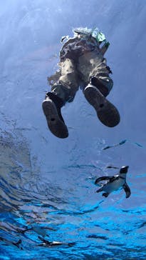 サンシャイン水族館に投稿された画像（2025/8/28）