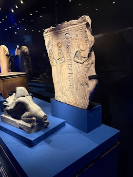 ACN ラムセス大王展 ファラオたちの黄金に投稿された画像（2025/8/29）