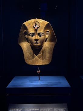 ACN ラムセス大王展 ファラオたちの黄金に投稿された画像（2025/8/29）