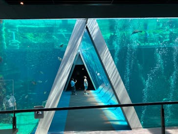 環境水族館アクアマリンふくしまに投稿された画像（2025/8/29）