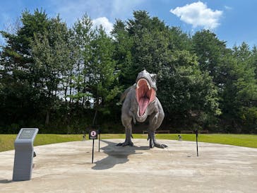 福井県立恐竜博物館に投稿された画像（2025/8/29）